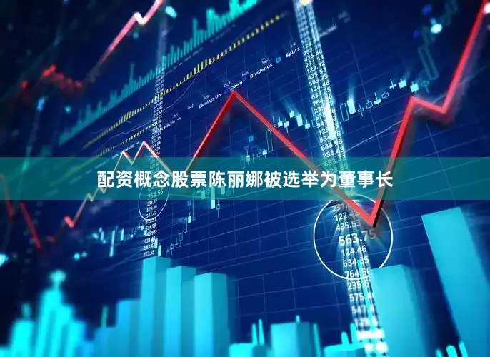 配资概念股票陈丽娜被选举为董事长